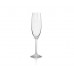 BANQUET Degustation Crystal sklenice na šampaňské, 220ml, 6ks, 02B4G001220