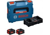 BOSCH Expert 2× EXBA18V-80 + EXAL18V2-320 1600A0373X