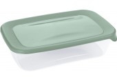 CURVER FRESH & GO 1L Dóza 22,8 x 14,8 x 6 cm, zelená/transparentní 00554-A87