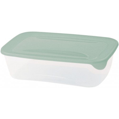 CURVER FRESH & GO 2L Dóza 25,6 x 16,7 x 7,2 cm, zelená/transparentní 00555-A87 CURVER FRESH & GO 2L Dóza 25,6 x 16,7 x 7,2 cm, zelená/transparentní 00555-A87