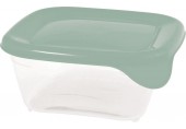 CURVER FRESH & GO 0,25L Dóza 10,5 x 10,5 x 4,4 cm, zelená/transparentní 00557-A87