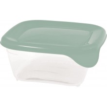 CURVER FRESH & GO 0,25L Dóza 10,5 x 10,5 x 4,4 cm, zelená/transparentní 00557-A87