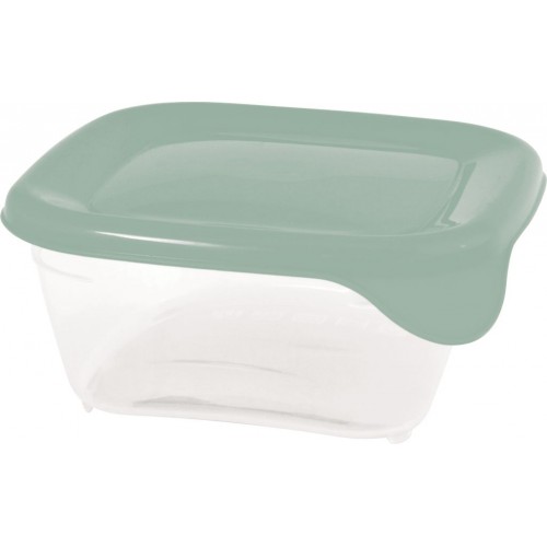 CURVER FRESH & GO 0,25L Dóza 10,5 x 10,5 x 4,4 cm, zelená/transparentní 00557-A87 CURVER FRESH & GO 0,25L Dóza 10,5 x 10,5 x 4,4 cm, zelená/transparentní 00557-A87