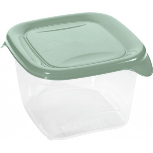CURVER FRESH & GO 0,45L Dóza 10,5 x 10,5 x 7 cm, zelená/transparentní 00558-A87 CURVER FRESH & GO 0,45L Dóza 10,5 x 10,5 x 7 cm, zelená/transparentní 00558-A87