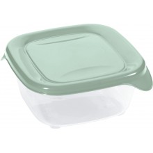 CURVER FRESH & GO 0,8L Dóza 15,5 x 15,5 x 5,5 cm, zelená/transparentní 00559-A87