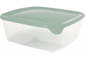 CURVER FRESH & GO 2,9L Dóza 23 x 8,3 x 23 cm, zelená/transparentní 00562-A87