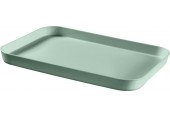 CURVER ESSENTIALS Tác 43 x 30,8 x 3,5 cm zelená 00738-Q19