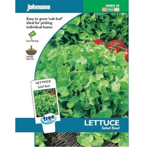 JOHNSONS Hlávkový salát „Salad bowl“ 16302