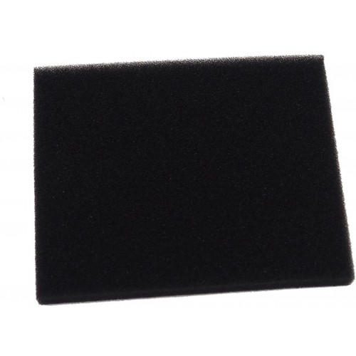 Riwall PRO Vzduchový filtr (pěnový / motor T6) 25300120000