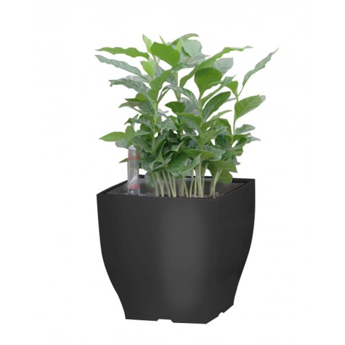 Samozavlažovací květináč G21 Cube mini černý 13,5cm 6392573 Samozavlažovací květináč G21 Cube mini černý 13,5cm 6392573