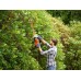 Black & Decker BEHTS301 Elektrické nůžky na živý plot (50cm/500W)