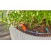 GARDENA MDS Kapač řadový 2 l/h 13317-20