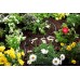 Gardena Micro-Drip-System nadzemní kapací hadice 4,6 mm (3/16"), 15 m 1362-20