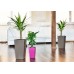 PLASTKON In- & Outdoor květináč Elise lesk 15 cm taupe