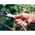 Fiskars K62 Žabka zahradnická, délka 17cm (1001623) 125880
