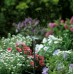 GARDENA Micro-Drip-System-pruhová tryska 5 ks 1370-29