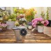 Gardena AquaBloom Solární zavlažování - sada 13300-20