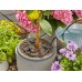 Gardena AquaBloom Solární zavlažování - sada 13300-20