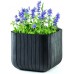 KETER CUBE PLANTER M Květináč, 30 x 30 x 30 cm, antracit 17202066