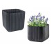 KETER CUBE PLANTER M Květináč, 30 x 30 x 30 cm, antracit 17202066