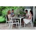 VÝPRODEJ KETER HARMONY zahradní židle, 58 x 58 x 86 cm, bílá/cappuccino 17201284 ULOMENÝ KOUSEK !!!VIZ. FOTO!!!