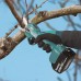 MAKITA DUP181Z Aku nůžky na vinnou révu, max. ø 30mm, Li-ion LXT 18V, bez aku Z