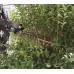 MAKITA UH006GM201 Aku plotostřih 600mm, Li-ion XGT (40V/2x 4,0 Ah)