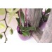 PROSPERPLAST COUBI Květináč vysoký 18,3 cm, bílá transparentní DUOW160P