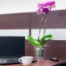 PROSPERPLAST COUBI květináč na orchideje 1,5l, fialová DUOW130P