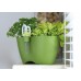 Prosperplast LIMES DUBLO Květináč na bylinky 2,5l, 25x12x12cm, zelená DLD250