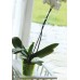 Prosperplast DECOR podpěra pro orchidej 55cm, zelená ISTC02