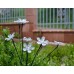 PROMÁČKLÝ OBAL SHARKS Zahradní LED solární květinový keř SA081 - PLNĚ FUNKČNÍ